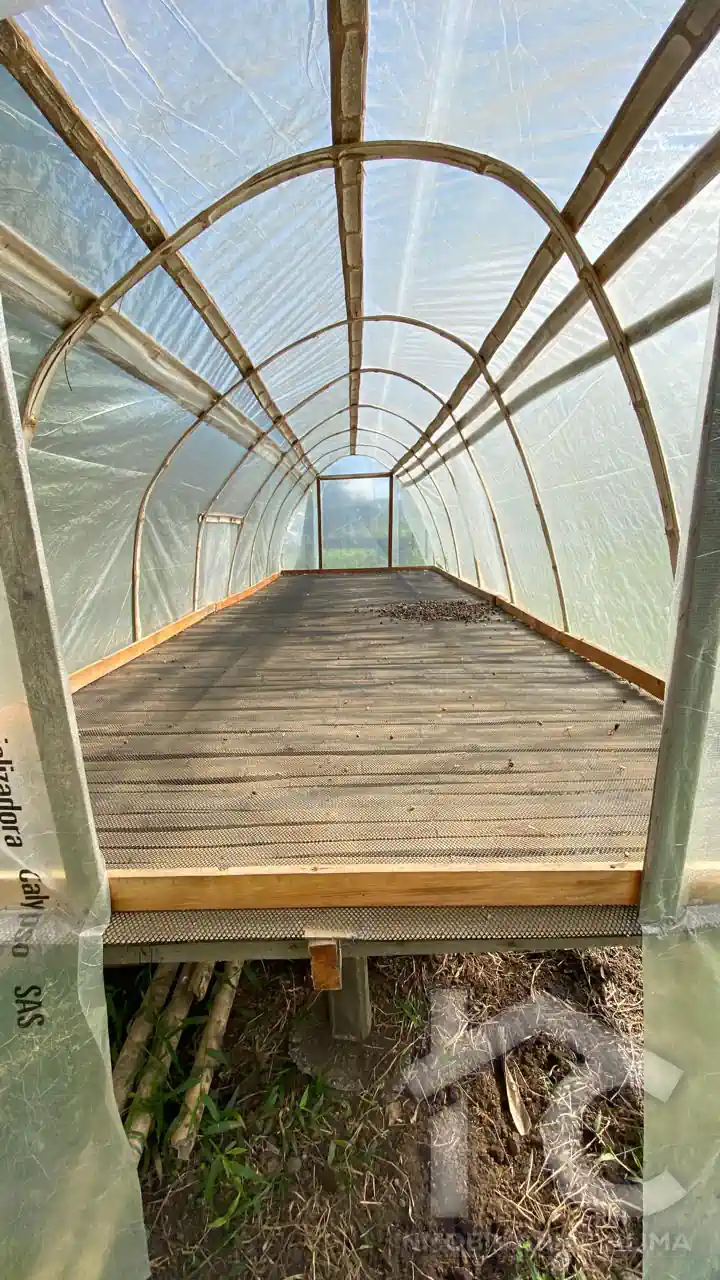 Finca Agrícola La Galaxia